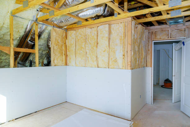 Best Insulation Installation Services in Encinal, TX