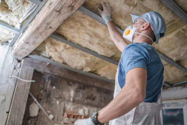 Professional Insulation Contractor in TX